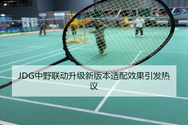 JDG中野联动升级新版本适配效果引发热议